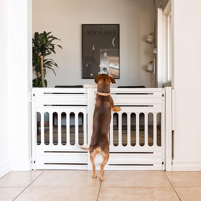 IRIS USA 24"-39" Dog Gate, Adjustable Indoor Pet Barrier, Pet Gate for Puppy, Small Dog, Cat, Easy Twist-to-Lock for Doorways & Stairs, Portable, Expandable, 25" Tall, White