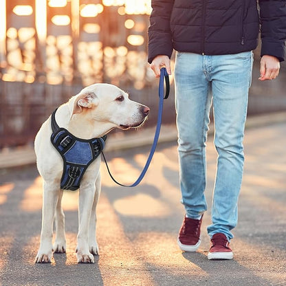 BUMBIN Dog Harness for Large Dogs, No Pull Adjustable No Choke Pet Vest with Dog Leash Fit Smart Reflective Pet Walking Harness for Training Easy Control Soft Handle Denim Blue XL