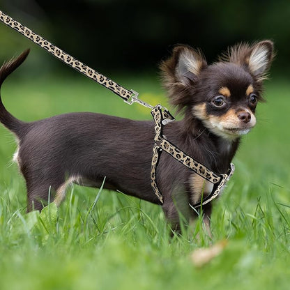 Mile High Life Leopard Dog Harness Collar Leash Set, Adjustable No Pull Dog Halter Harness for Small Breed Dogs, Easy Control for Training Walking (Black, XS Chest 9"-15", Neck 8"-12")