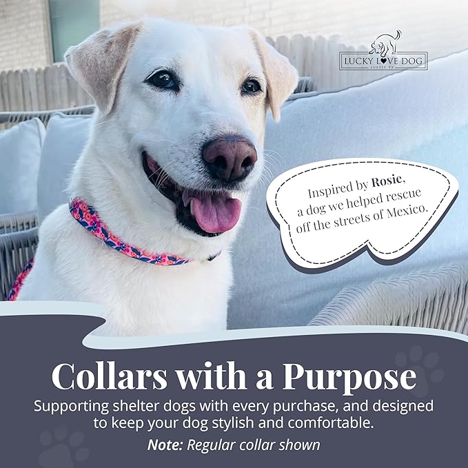 Lucky Love Dog Martingale Dog Collar - Adjustable, No-Slip, Durable, & Soft Webbing Collar for Male and Female Dogs Ideal for Training & Walking - Rosie, Small