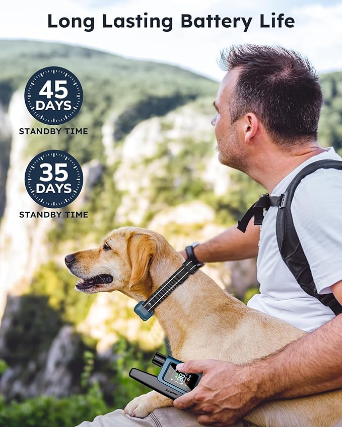 Jugbow Shock Collar for 2 Dogs - 4200FT Dog Training Collar with Remote IPX7 Waterproof Electric Collar with 4 Training Modes, Security Lock E-Collar for Large Medium Small Breeds(Teal Blue)