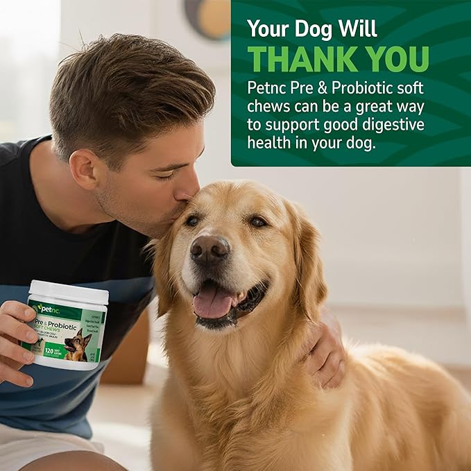 PetNC Natural Care Liver Flavor,Cheese Pre & Probiotic Soft Chews for Dog 120 ct (Pack of 1) (Packaging May Vary)