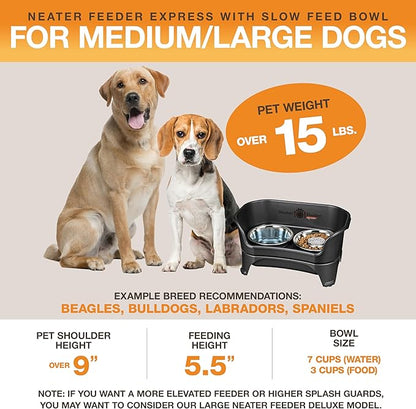 Neater Feeder - Express Model w/ Slow Feed Bowl - Mess-Proof Dog Bowls (M/L, Black) Made in USA – Elevated, No Spill, Non-Tip, Non-Slip, Raised Stainless Steel Food/Water Pet Bowls Aid Digestion