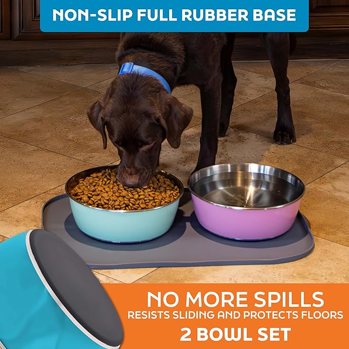Master Pet Supply Stainless Steel Dog Bowls Set of 2 (64 Oz Each) with Non-Slip Rubber Base - True Blue - Basic Dog Food Bowl Water & Food Bowls for Small Medium Large Dogs & Cats, Metal Dish