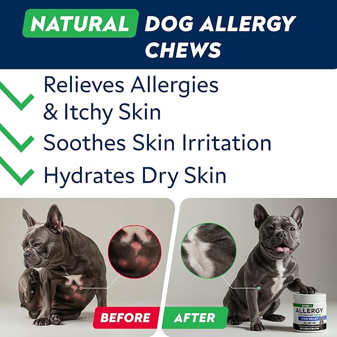 StrellaLab Dog Allergy Relief & Anti Itch Support Chews w/Omega 3: Real Ingredients, Real Taste! Skin & Coat Immune Supplement w/Fish Oil, Pumpkin & Enzymes — Developed by Experts - Made in USA -180Ct