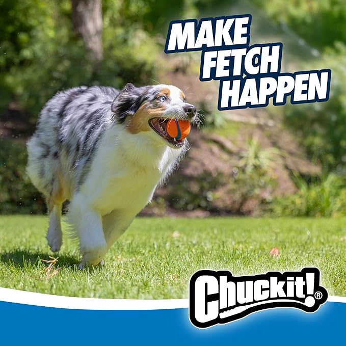 Chuckit! Ultra Ball Dog Toy - Medium Bouncy Fetch Balls for Dogs 20-60 lbs - Made from Durable Rubber - Floating Water Pet Toys - Size Medium - 2.5-inch Diameter -,2 Count (Pack of 6)
