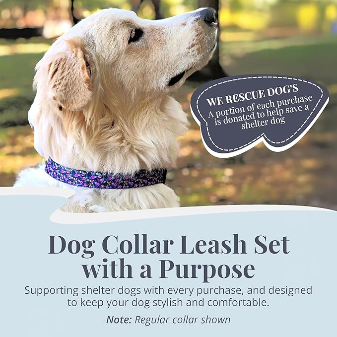 Lucky Love Dog Martingale Dog Collar & Leash - Adjustable, No-Slip, Durable, Comfortable, Soft Webbing, & Stylish Patterned Collar & Leash Set for Male and Female Dogs - Primrose Combo, Small