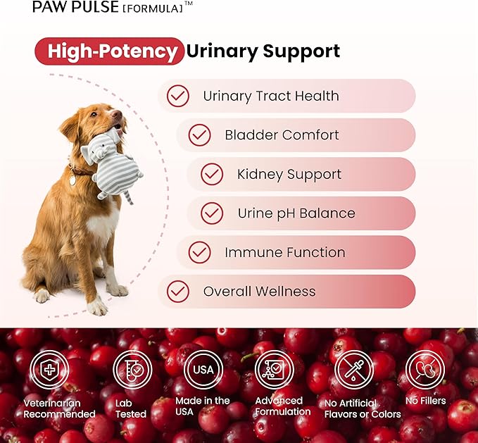 Pawpulse Formula Cranberry for Dogs, Urinary Tract Support for UTI Health, Bladder Stones, Incontinence, Urine Flow, Probiotics for Gut & Immune, 90 Chews