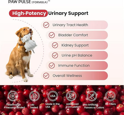 Pawpulse Formula Cranberry for Dogs, Urinary Tract Support for UTI Health, Bladder Stones, Incontinence, Urine Flow, Probiotics for Gut & Immune, 90 Chews
