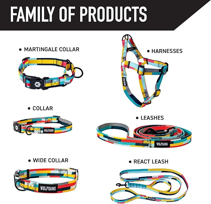Wolfgang Heavy Duty Martingale Dog Collar with Quick Release Nylon Buckle for Walking & Training, Mixtape Print, Large