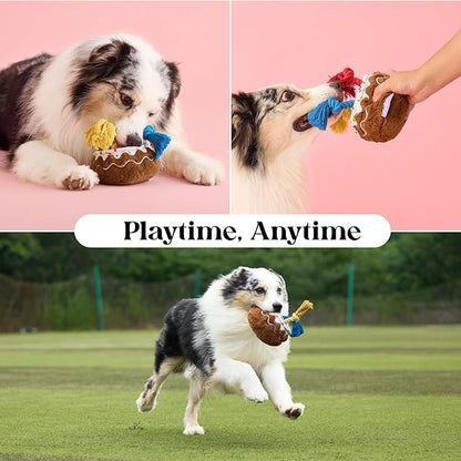 LE SURE Dog Birthday Cake Toy - Cute Dog Birthday Cake Squeaky Toy with Interactive Tug Rope, Interactive Chew Toy for Puppy Birthday Party & Daily Play, XSmall, Milk Chocolate