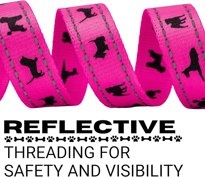 EcoBark Dog Leash - Soft & Reflective Comfort Training Leashes with Padded Handle - Safe, Strong, & Durable for Small, Medium or Large Dogs (Pink)