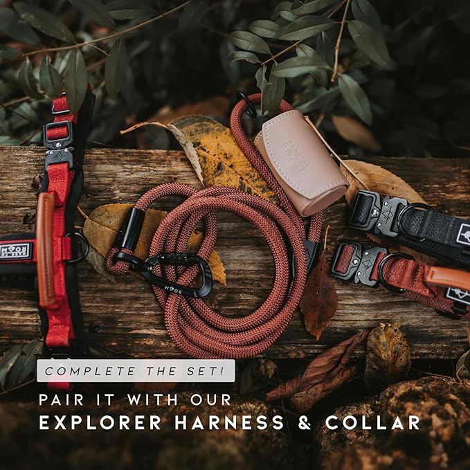 MADE TO ROAM Premium Explorer Leash - Climbing Rope Leash with Autolocking Aviation Aluminum Carabiner - Florida Seaside, 6ft