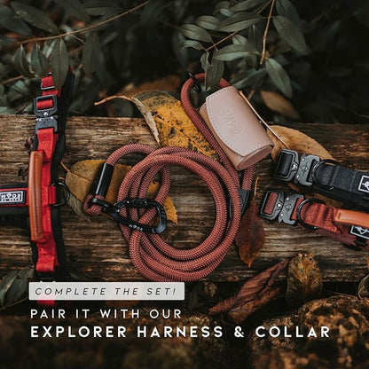MADE TO ROAM Premium Explorer Leash - Climbing Rope Leash with Autolocking Aviation Aluminum Carabiner - Florida Seaside, 6ft