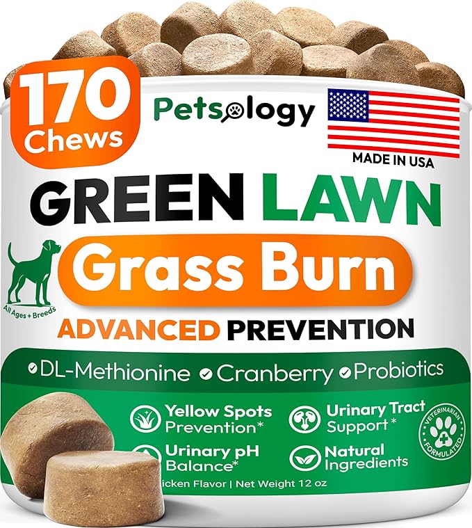 Dog Urine Neutralizer for Lawn - 170 Green Lawn Chews for Dogs - Pee Grass Burn Spot Saver Caused by Dog Urine with Probiotics & Digestive Enzymes - Advanced Gut Health Supplement, Rocks