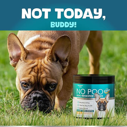 Kinpur Pet Care Dog Behavior Chews with Digestive Enzymes and Probiotics for Gut Health, Yeast Balance, Itchy Skin, Allergies, Immunity - Delicious Soft Treats for All Breeds (120)