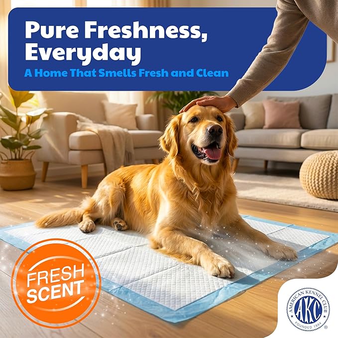 American Kennel Club Scented Puppy Training Pads with Ultra Absorbent Quick Dry Gel – 28 x 30 Pee Pads for Dogs - Fresh Scented - 50 Count, XL