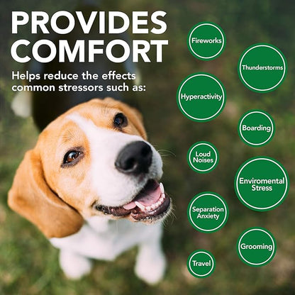 Vet's Best Comfort Calm Calming Soft Chews Dog Supplements - Dog Calming Aid Supports Dog Balances Behavior - Promotes Relaxation - 30 Day Supply