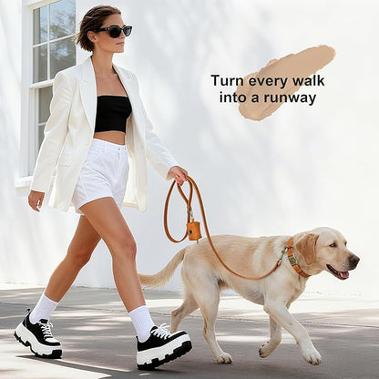 Didog Soft PU Leather Dog Collar, Stylish Quick Released Dog Collar for Large Dogs, Easy Clean Adjustable Pet Collar for Daily Walking, Light Brown, L Fit 16-22" Neck