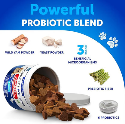 (2 Pack) Probiotics for Dogs - Chews for Gut Health, Itchy Skin, Allergies, Immunity, Yeast Balance - 6 Dog Probiotics, Digestive Enzymes with Prebiotic Fiber - Reduce Diarrhea, Gas - 240 Soft Treats