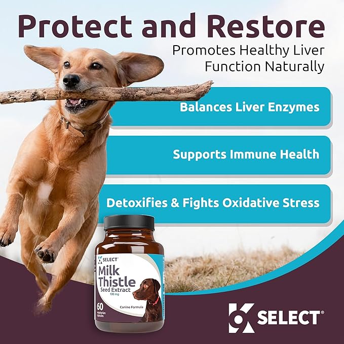 Milk Thistle for Dogs, 100mg - 60 Vegetable Capsules - Canine Liver Health Milk Thistle Supplement - Milk Herbal