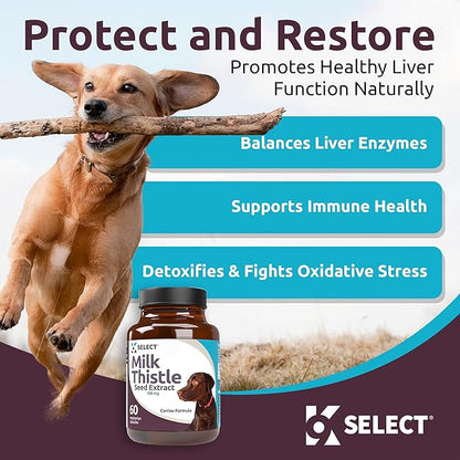 Milk Thistle for Dogs, 100mg - 60 Vegetable Capsules - Canine Liver Health Milk Thistle Supplement - Milk Herbal