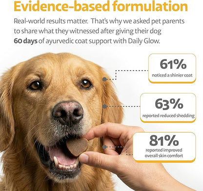 Dog Allergy Chews for Itchy Skin, Hot Spots, Paw Licking & Itchy Ears – Holistic Herbal Omega-3 Anti Itch Support with Turmeric & Shatavari – Fish Flavor – 90 Count