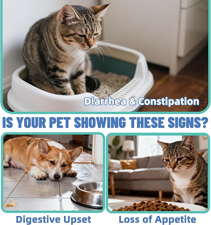 Just Try 7oz Probiotic Powder Probiotics for Cat Probiotic - Gut Health for Cat Constipation Relief Chicken Flavored - Supplements Cat Supplies 200g