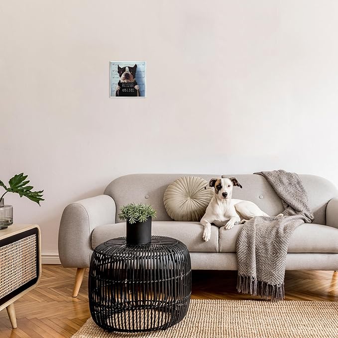Stupell Industries Funny Boston Terrier Dog Jail Convicted Police, Design by Lucia Heffernan