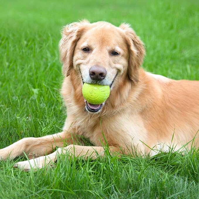 Chew King by Mammoth Glowing Fetch Ball, Dog Ball Toys, 3" Combo