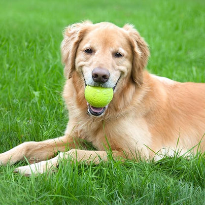 Chew King by Mammoth Glowing Fetch Ball, Dog Ball Toys, 3" Combo