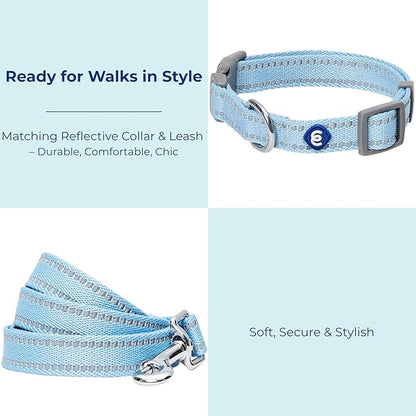Blueberry Pet Essentials Reflective Dog Collar & Leash Set, Adjustable for Large Dogs | Safe Walking Gear for Pet Parents, Puppy Training & Daily Use LargeDogs, Baby Blue