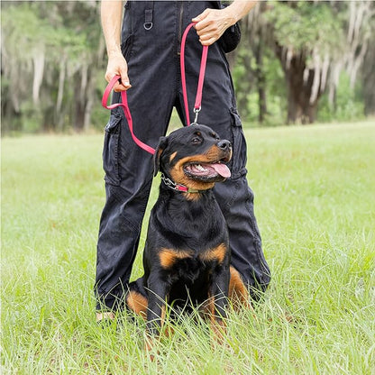 Herm Sprenger Chrome Plated Steel Dog Collar with Quick Release ClicLock Buckle O-Ring Biothane Insert Training Collar Made in Germany (Passionfruit Pink, 22in x 3.0mm(Neck Size up to 18-19in))