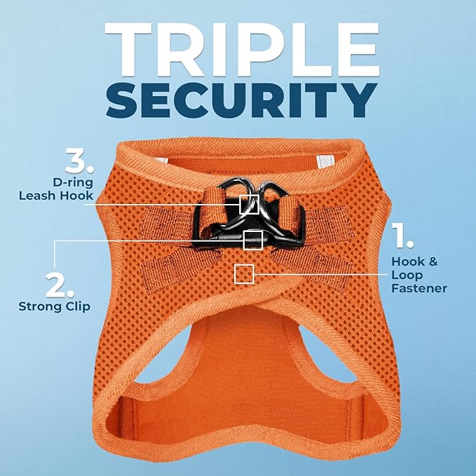 Best Pet Supplies Voyager Step-in Air All Weather Mesh Harness and Reflective Dog 5ft Leash Combo with Neoprene Handle, for Small, Medium and Large Breed Puppies - Set (Orange), Small