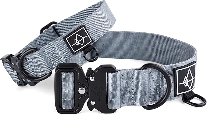 Made to ROAM Premium Dog Collar - Adjustable Heavy Duty Nylon Collar with Quick-Release Metal Buckle (Virginia Mountains, Classic Size 1)