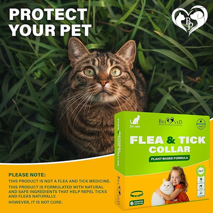 Natural Flea & Tick Collar for Cats - 6 Months Control of Best Prevention & Safe Treatment - Anti Fleas and Ticks Essential Oil Repellent (1 Pack)
