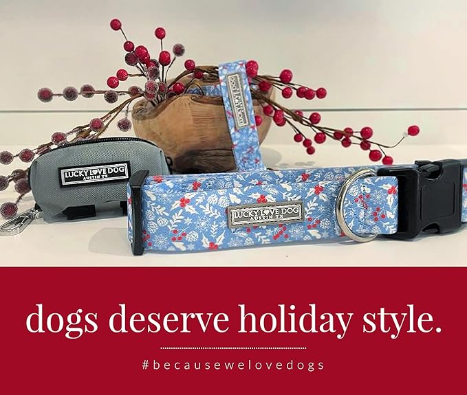 Lucky Love Dog Martingale Dog Collar & Leash - Adjustable, No-Slip, Durable, Comfortable, Soft Webbing, & Stylish Patterned Collar & Leash Set for Male and Female Dogs - Winterblue Combo, Medium