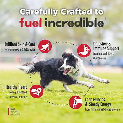 Nulo FreeStyle Adult Dry Dog Food - Salmon & Peas, Premium Grain Free Dog Food with Probiotics for Healthy Gut, Skin and Coat, Natural, High Protein Kibble for Small, Medium and Large Breeds, 26lb Bag