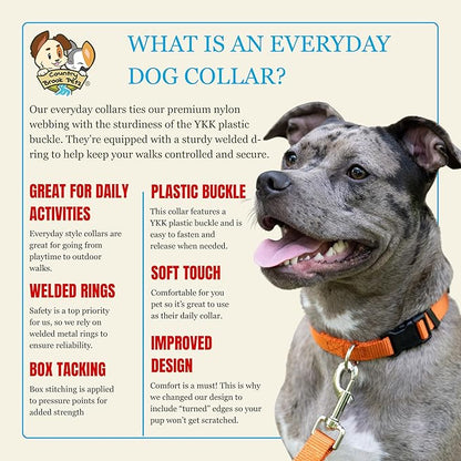 Country Brook Petz - Everyday Nylon Dog Collar for Large, Medium, and Small Dogs and Puppies - for Everyday Use in 10+ Warm Colors (Medium, 3/4 Inch Wide, Orange)