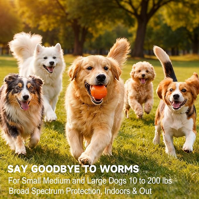 Dewormer for Dogs Pyrantel Pamoate and Praziquantel for Tapeworms, Roundworms and Hookworms Broad Spectrum Dewormer