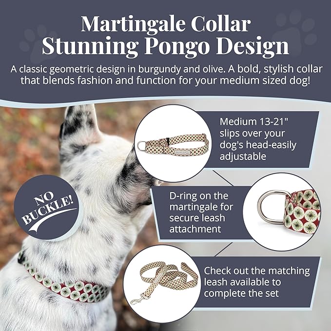 Lucky Love Dog Martingale Dog Collar - Adjustable, No-Slip, Durable, & Soft Webbing Collar for Male and Female Dogs Ideal for Training & Walking - in Unique Pongo Pattern, Medium Size