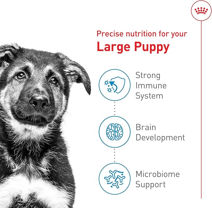 Royal Canin Size Health Nutrition Large Puppy Dry Dog Food, 17 lb Bag