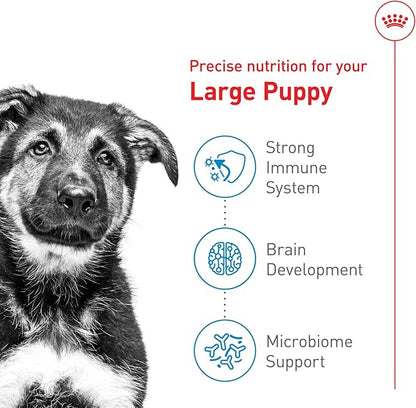 Royal Canin Size Health Nutrition Large Puppy Dry Dog Food, 17 lb Bag