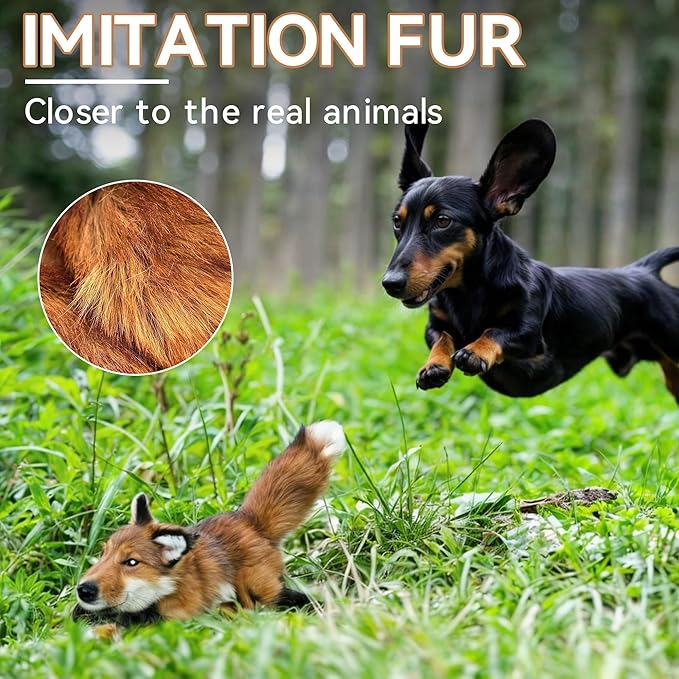 ALL FOR PAWS Squeaky Doy Toy, Fox Dog Toy for Small Medium Large Breed, Puppy Fetch Toy with Squeaker, Plush Chew Dog Toy, Classic S
