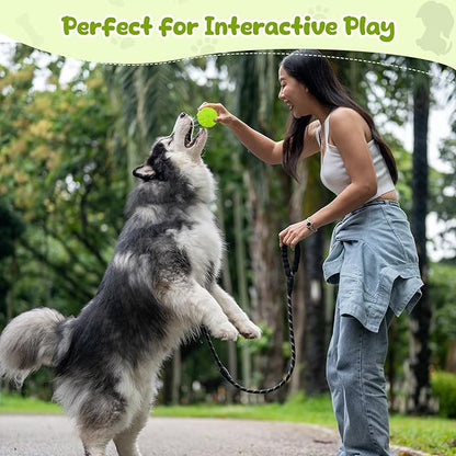 Indestructible Squeaky Dog Balls for Aggressive Chewers, Interactive Dog Toys to Keep Them Busy, Dog Chew Toys for Aggressive Chewers, Rubber Squeaky Balls for Dogs to Relieves Anxiety