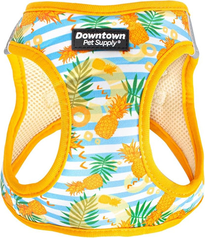 Downtown Pet Supply Step-in Dog Harness – No Pull, Adjustable Padded Mesh with Reflective Trim, Secure Buckle Strap – Comfortable & Breathable Small Dog Harness, Small, Pineapple