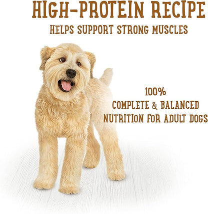 Beneful Purina Wet Dog Food, Gravy, Stew | Variety Pack | 10 oz. Tubs | 12 Count | Pack of 2