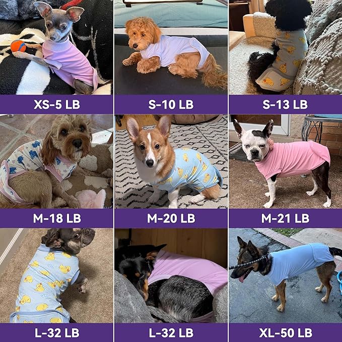 cyeollo 2pack Surgery Recovery Suit for Dogs Cats with Pee Hole for Female Male, Pet Bodysuit After Surgery for Spay, Neuter, Medium Large Dogs Surgical Recovery Onesie Shirt, Pink & Purple, XL