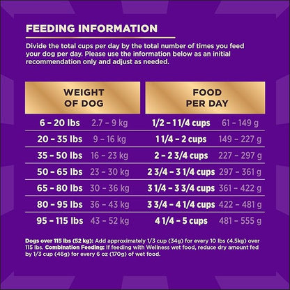 Wellness CORE+ Adult Dry Dog Food with Freeze Dried Pieces, Wholesome Grain Kibble+, Natural, High Protein, Beef and Barley Recipe, 18 lb Bag