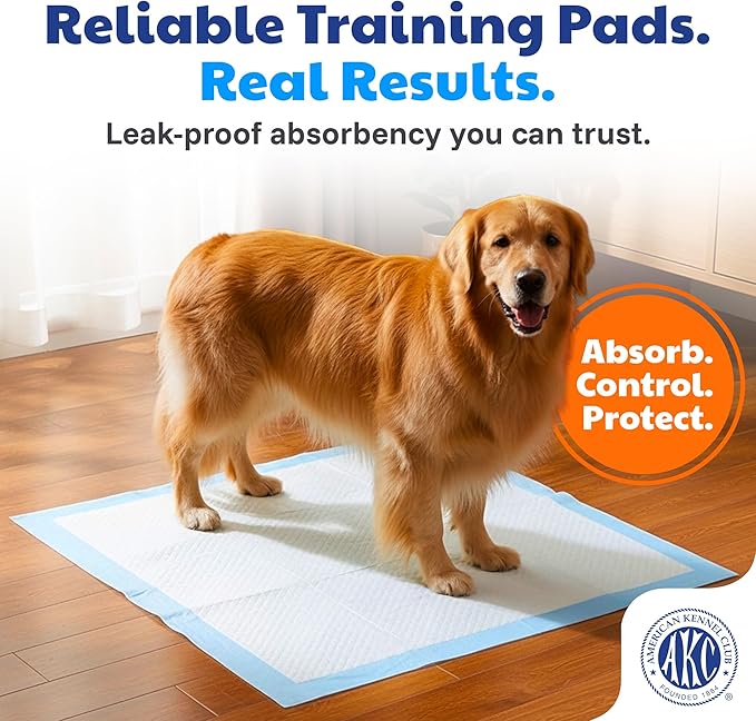 American Kennel Club Scented Puppy Training Pads with Ultra Absorbent Quick Dry Gel – 28 x 30 Pee Pads for Dogs - Fresh Scented - 50 Count, XL